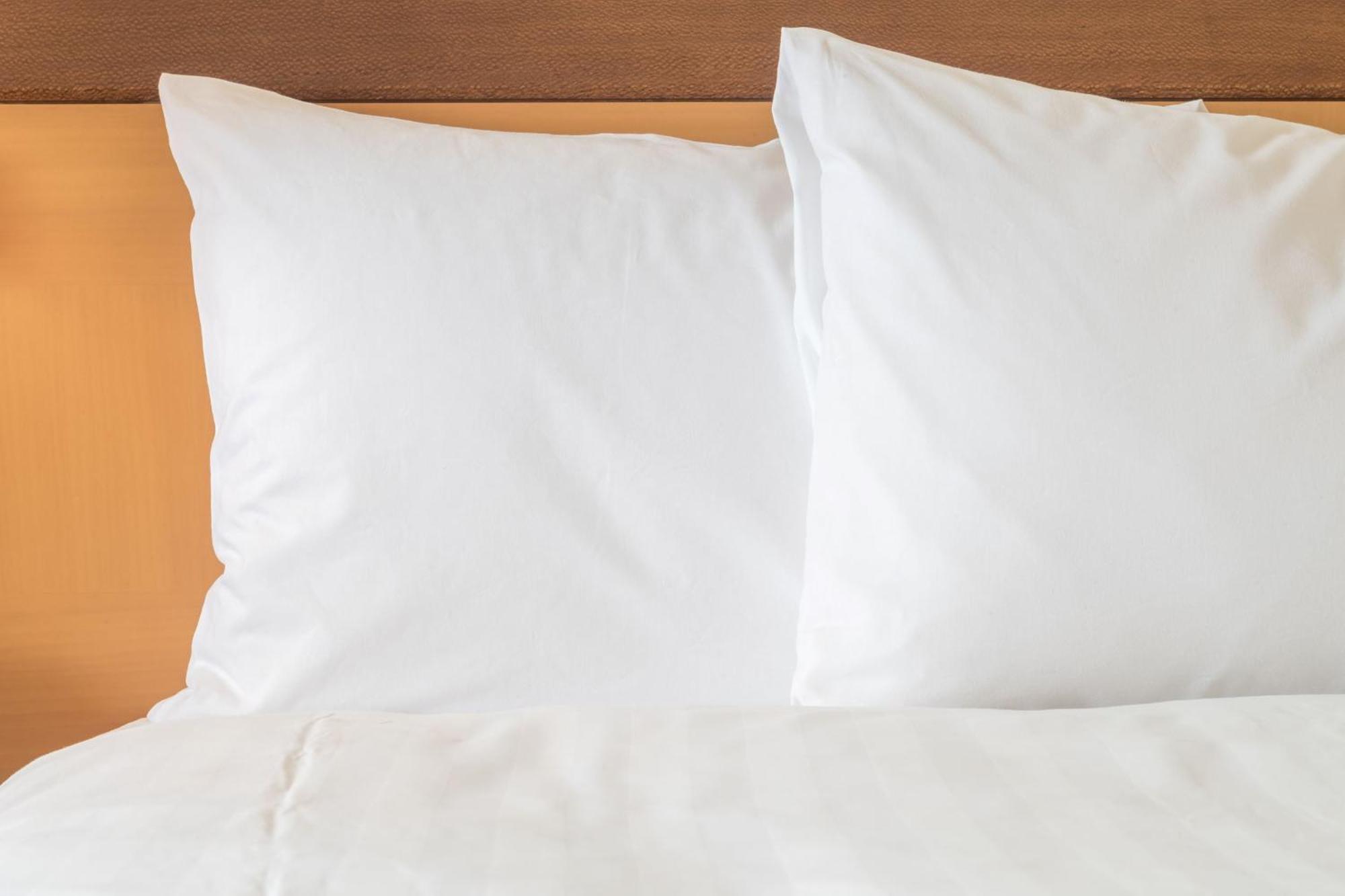 Hotel Crowne Plaza By Ihg Maastricht